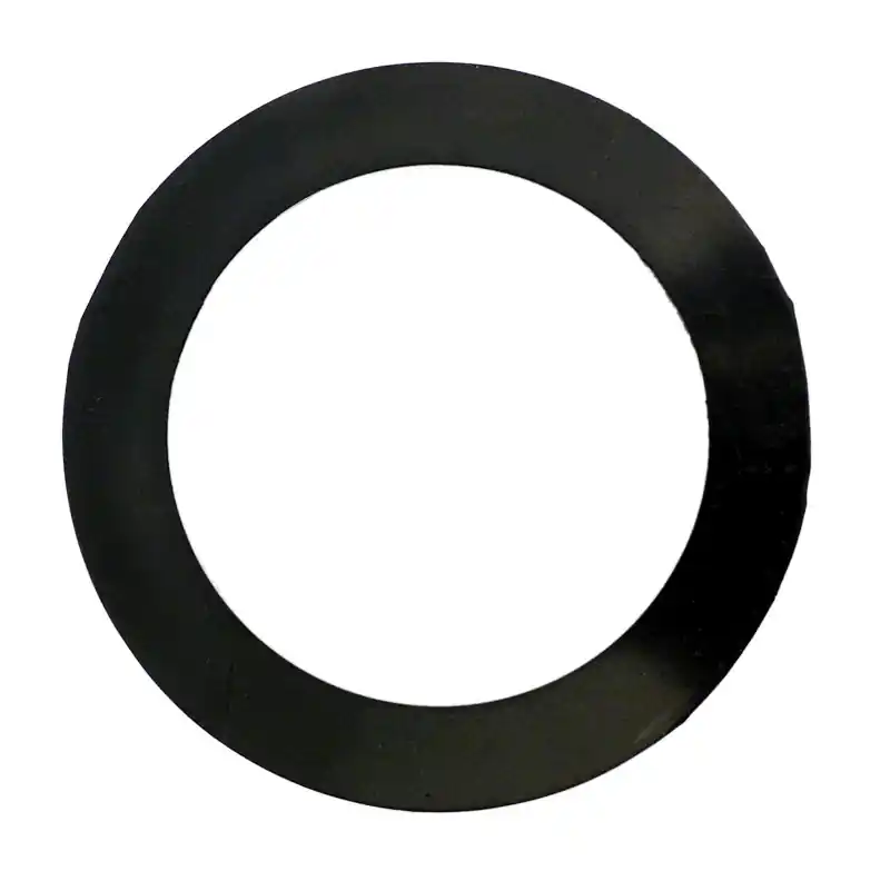 Pentair Black Dynamic Support Ring, R172232X Buy Direct