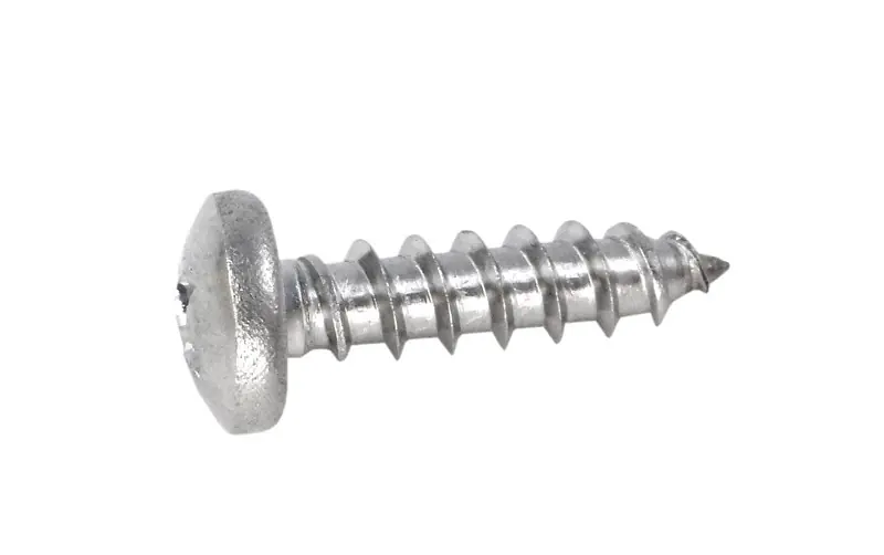 Buy Today Pentair #10 Self Tapping Screw, 154716