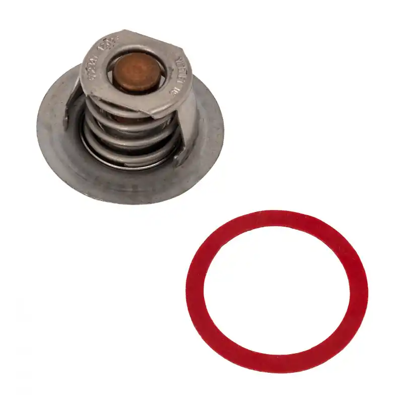 Last Chance Raypak Unitherm Governor Kit, 019062F
