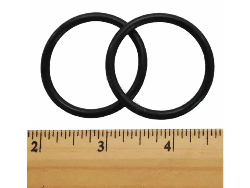 Pentair Wall Fitting O-Ring, Pack of 2, E21 In Demand