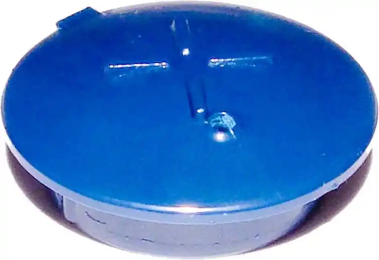 Pentair Blue Cartridge Plug, R172014 New Release