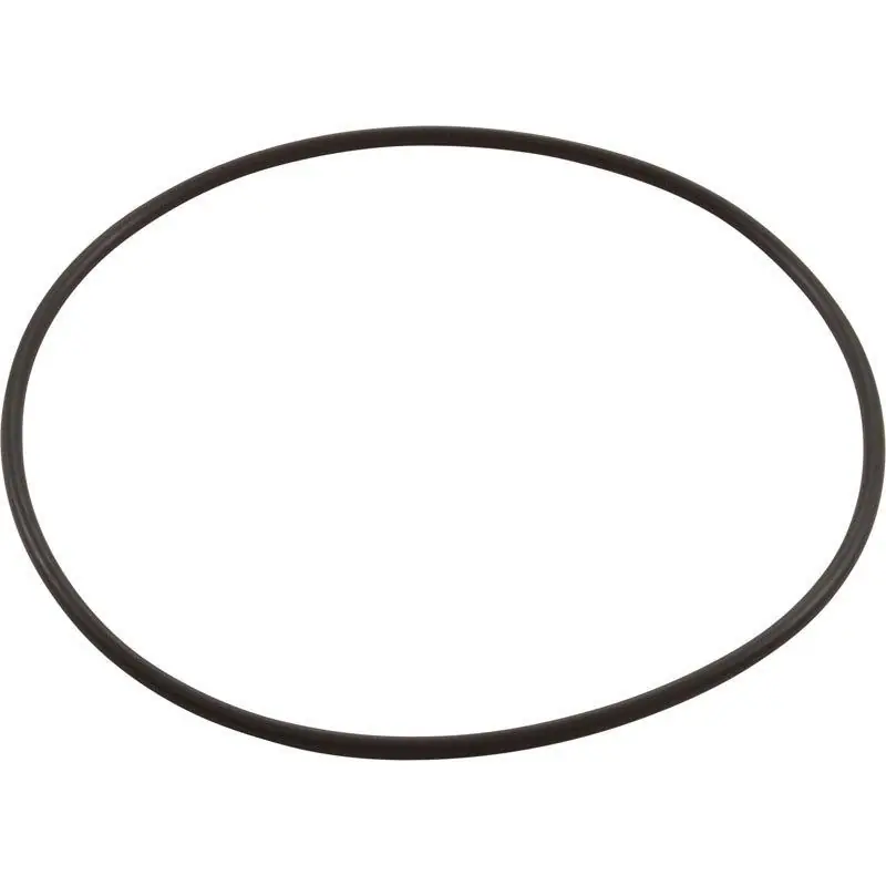 Pentair - Replacement O-Ring valve top Special Discount