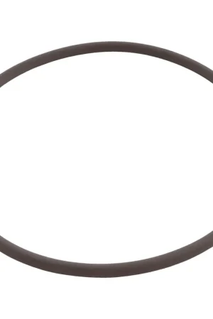 All Seals - Replacement Cover O-Ring for Hayward CL200 - 220, Viton Grab Now