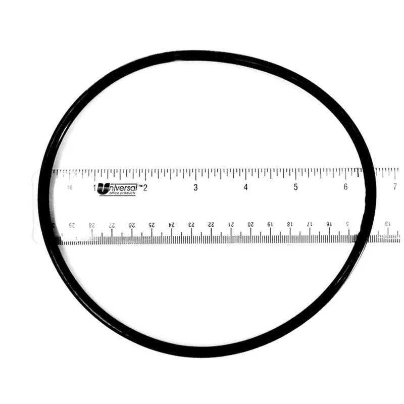 Get Yours Pentair - Rainbow Dynamic Series Lid O-Ring