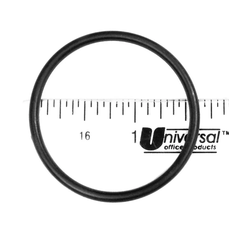 Top Rated Pentair - Rainbow Automatic Chemical Feeder Bottom O-Ring