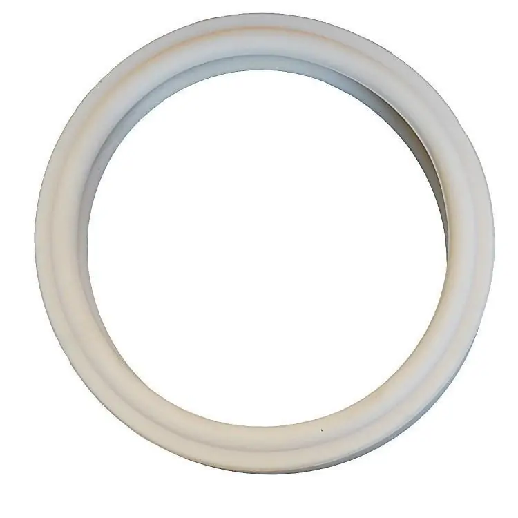 Pentair - Gasket, Lens Best Choice
